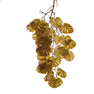 Liană philodendron curgătoare, 95 cm, maro