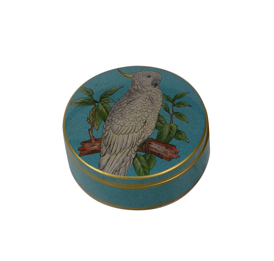 Round boxe parrots porcelain turquoise	