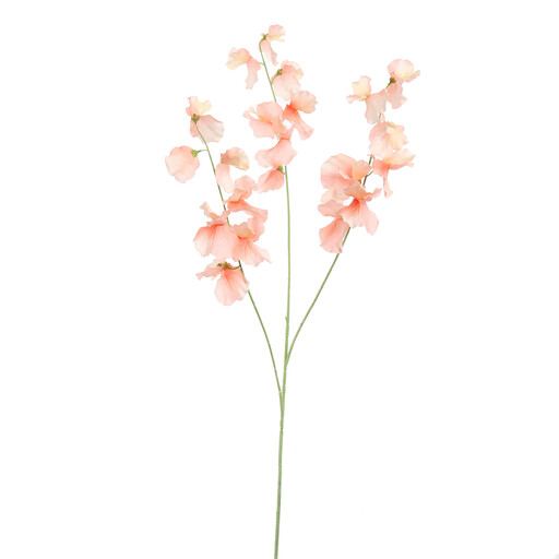 Lathyrus mare artificial, 115 cm, piersică
