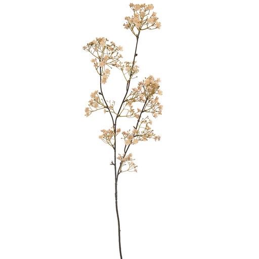 Ramură gypsophila mare, 106 cm, bej