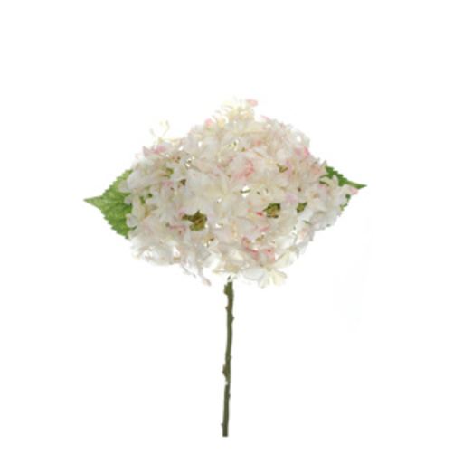 Hortensie cu tijă scurtă, 40 cm, crem