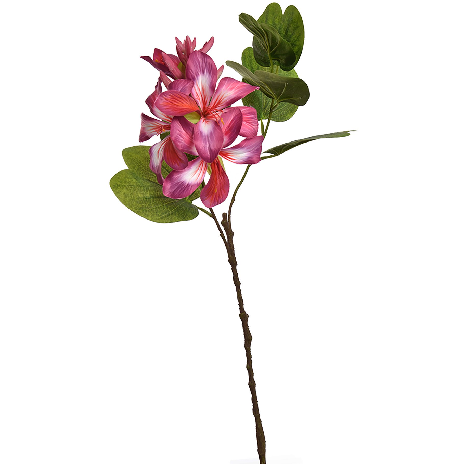 Ramură bauhinia artificială, 60 cm, roz intens