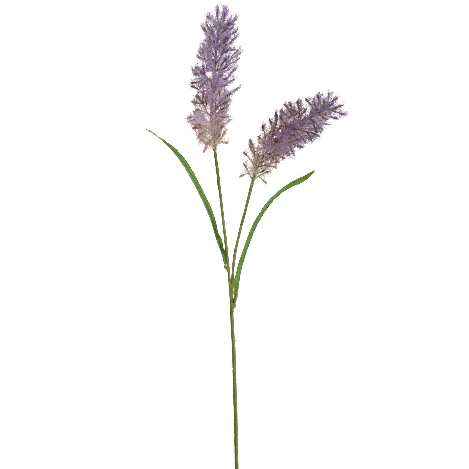 Iarbă decorativă, set 2 fire, 70 cm, lila