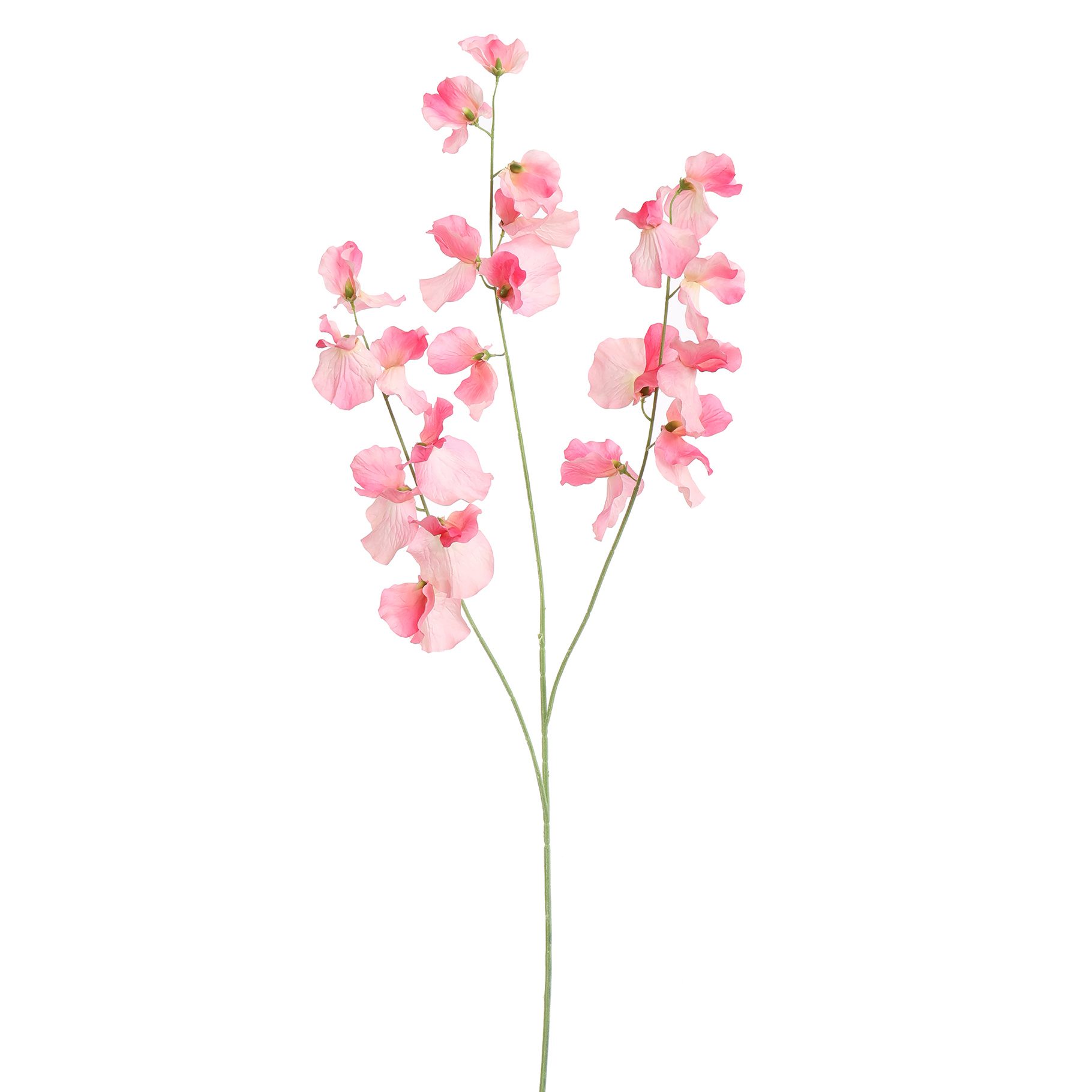 Lathyrus mare artificial, 115 cm, roz